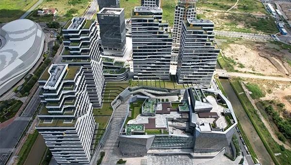 梁黄顾董事谈BIM